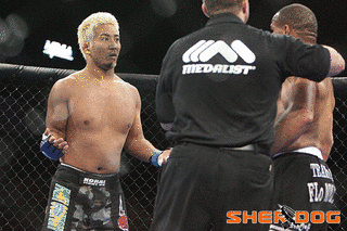唐沢仁義の画像