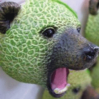 熊ゴローの画像