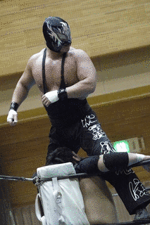 黒影の画像