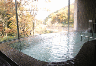 斐乃上温泉の画像