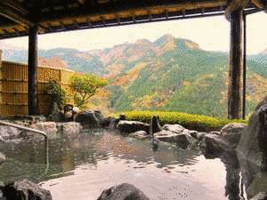 新祖谷温泉の画像
