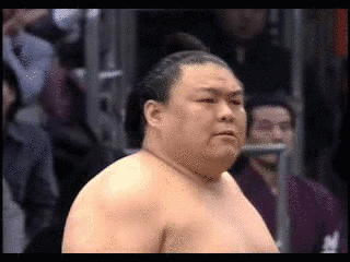 貴闘力忠茂の画像