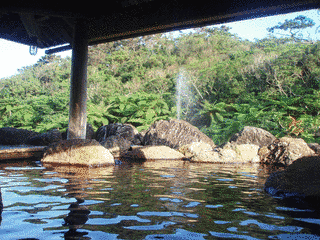 西表島温泉の画像
