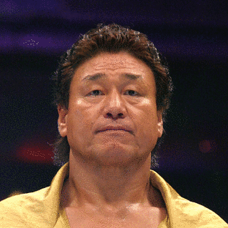 天龍源一郎の画像