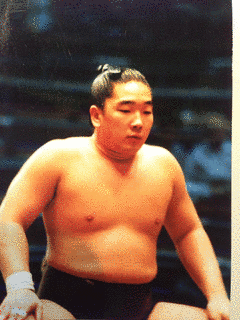 ドン・フジイの画像