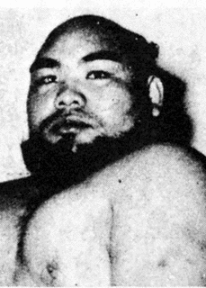 藤田山忠義の画像