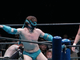 蛇影の画像