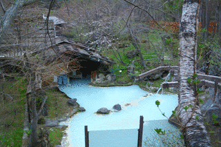 白骨温泉の画像