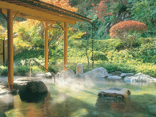 早太郎温泉の画像