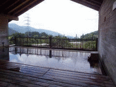 蕨温泉の画像