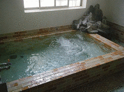 田子温泉の画像