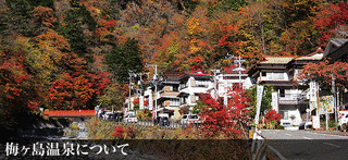 梅ヶ島温泉の画像