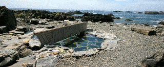 湯泊温泉の画像