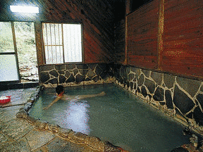 湯向温泉の画像