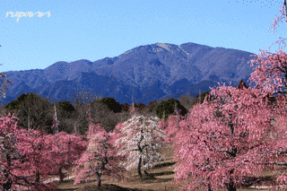 鈴鹿山脈の画像