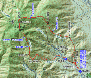 入道ヶ岳の画像