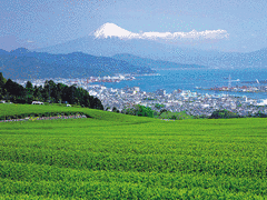 日和山の画像