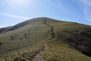 竜ヶ岳の画像