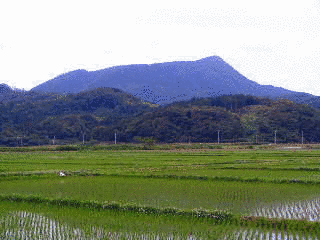 依遅ヶ尾山の画像