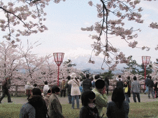 大枝山の画像