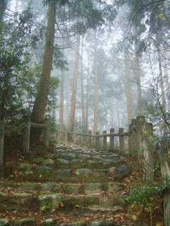 音羽山の画像