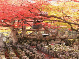 衣笠山の画像