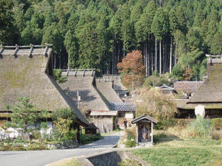 頭巾山の画像