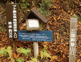 三国岳の画像