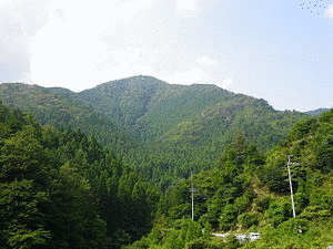 皆子山の画像