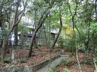吉田山の画像