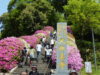 朝日山の画像