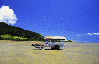 浮嶽の画像