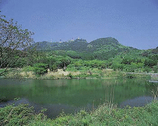 八幡岳の画像
