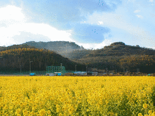 綾部山の画像