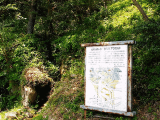 大野山の画像