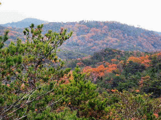 馳渡山の画像