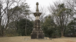 柏原山の画像