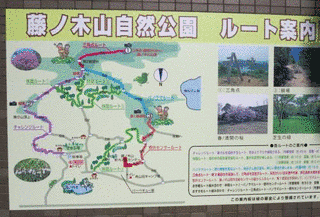 善防山の画像