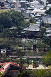 大徳山の画像