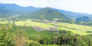 照来カルデラの画像