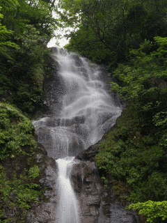 瀞川山の画像