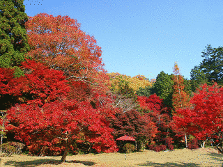 三木山の画像