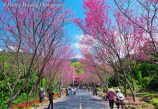 三草山の画像
