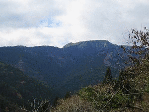 妙見山の画像