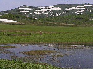 暑寒別岳の画像