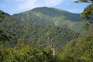 十勝岳の画像