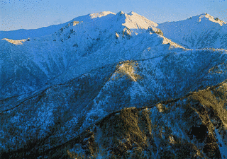 ニセイカウシュッペ山の画像
