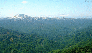 無意根山の画像