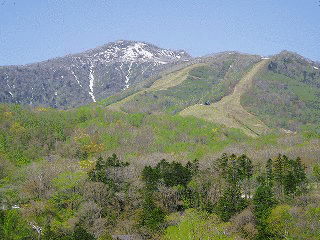 来馬岳の画像