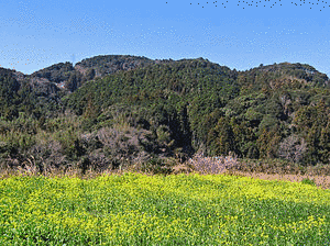 烏場山の画像